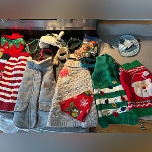 Small dog items bundle